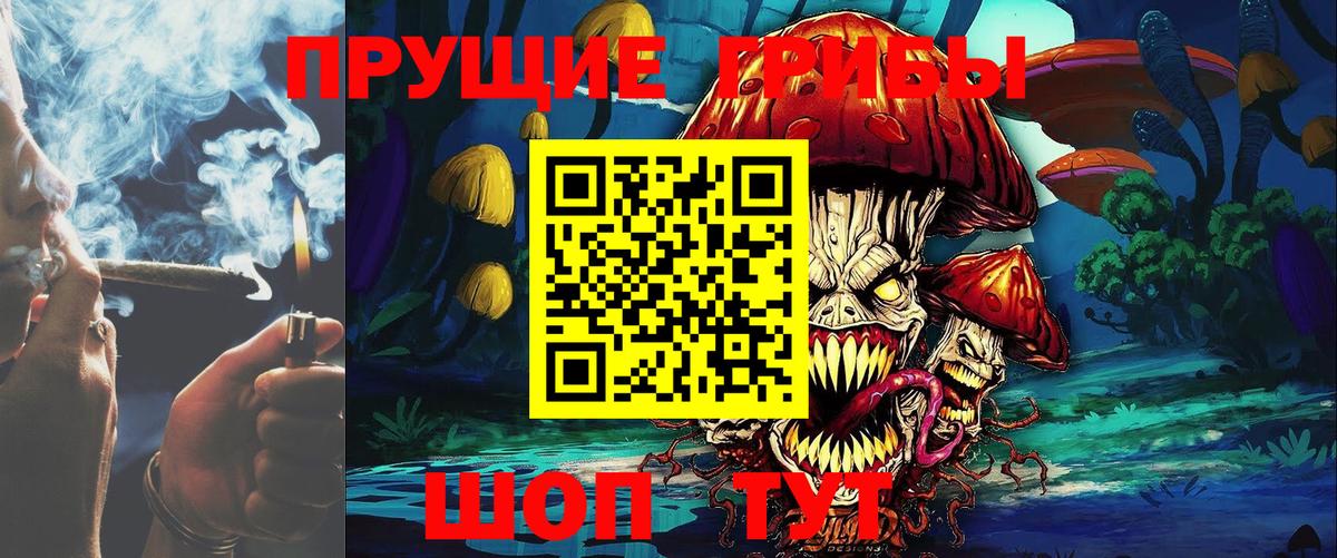 Псилоцибиновые грибы мицелий  Галлюциногенные грибы прущие грибы  Вход с VPN  Нижнеудинск 